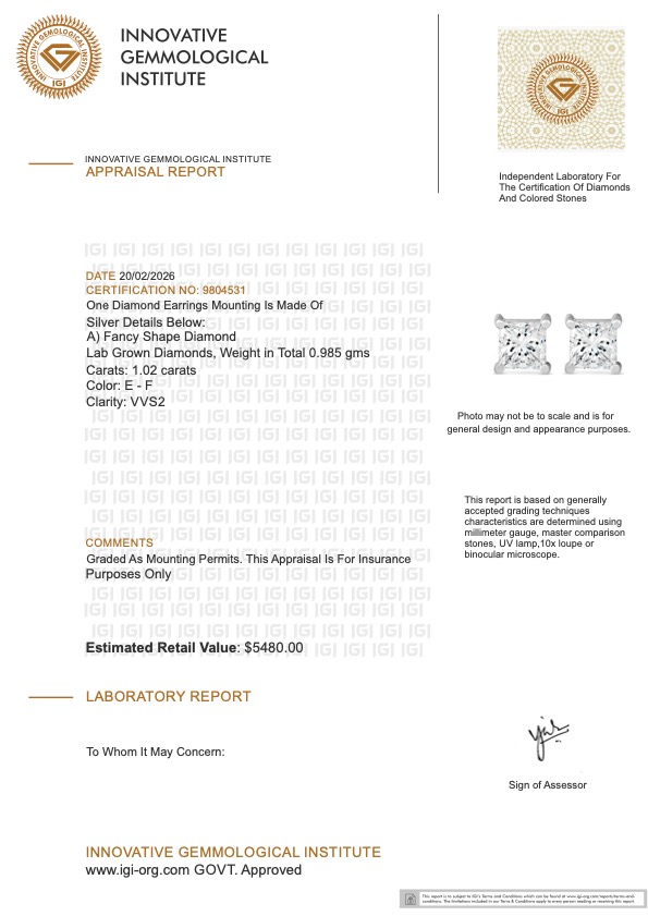 NEW! 1.02 CTW Lab-Grown Diamonds Earrings E-F, VVS2 | Estimated Retail Value: $5,480 (IGI) at PristineAuction.com NEW! 1.02 CTW Lab-Grown Diamonds Earrings E-F, VVS2 | Estimated Retail Value: $5,480 (IGI) at PristineAuction.com