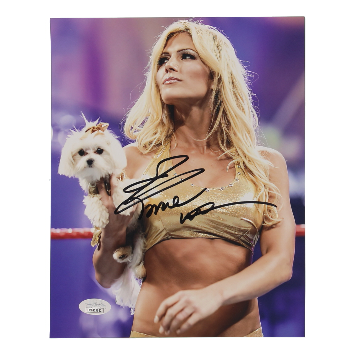 Torrie Wilson Signed WWE 8x10 Photo (JSA) at PristineAuction.com Torrie Wilson Signed WWE 8x10 Photo (JSA) at PristineAuction.com