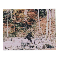 Bob Heironimus Signed "Patterson&ndash;Gimlin Film" 8x10 Photo Inscribed "Bigfoot" (Beckett) at PristineAuction.com