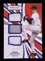 Pedro Martinez 2021 Immaculate Collection Immaculate Triples Memorabilia Blue #15 #09/25 at PristineAuction.com