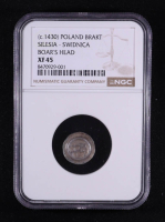 (c.1430) Poland, Silesia-Swidnica Brakt Silver Coin, Boar's Head (NGC XF45) at PristineAuction.com