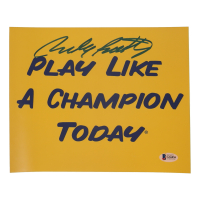 Rudy Ruettiger Signed Notre Dame Fighting Irish 8x10 Photo (Beckett) at PristineAuction.com