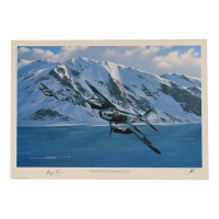 George Parry Signed Stan Stokes "Those Nagging Mosquitoes" Lithograph (AIV) at PristineAuction.com