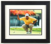 Tiger Woods 2007 Upper Deck Custom Framed Photo Display at PristineAuction.com