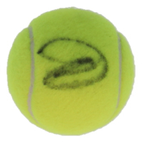 Novak Djokovic Signed Tennis Ball (Beckett) at PristineAuction.com