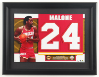 Moses Malone Upper Deck Custom Framed Mini Retired Jersey Number Display #NNO #7/100 at PristineAuction.com