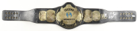 Ric Flair Signed WWE World Heavyweight Championship Belt (Beckett) at PristineAuction.com