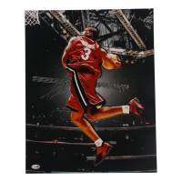 Dwyane Wade Signed Heat 16x20 Photo (JSA) at PristineAuction.com
