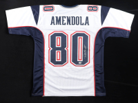 Danny Amendola Signed Jersey (JSA) at PristineAuction.com