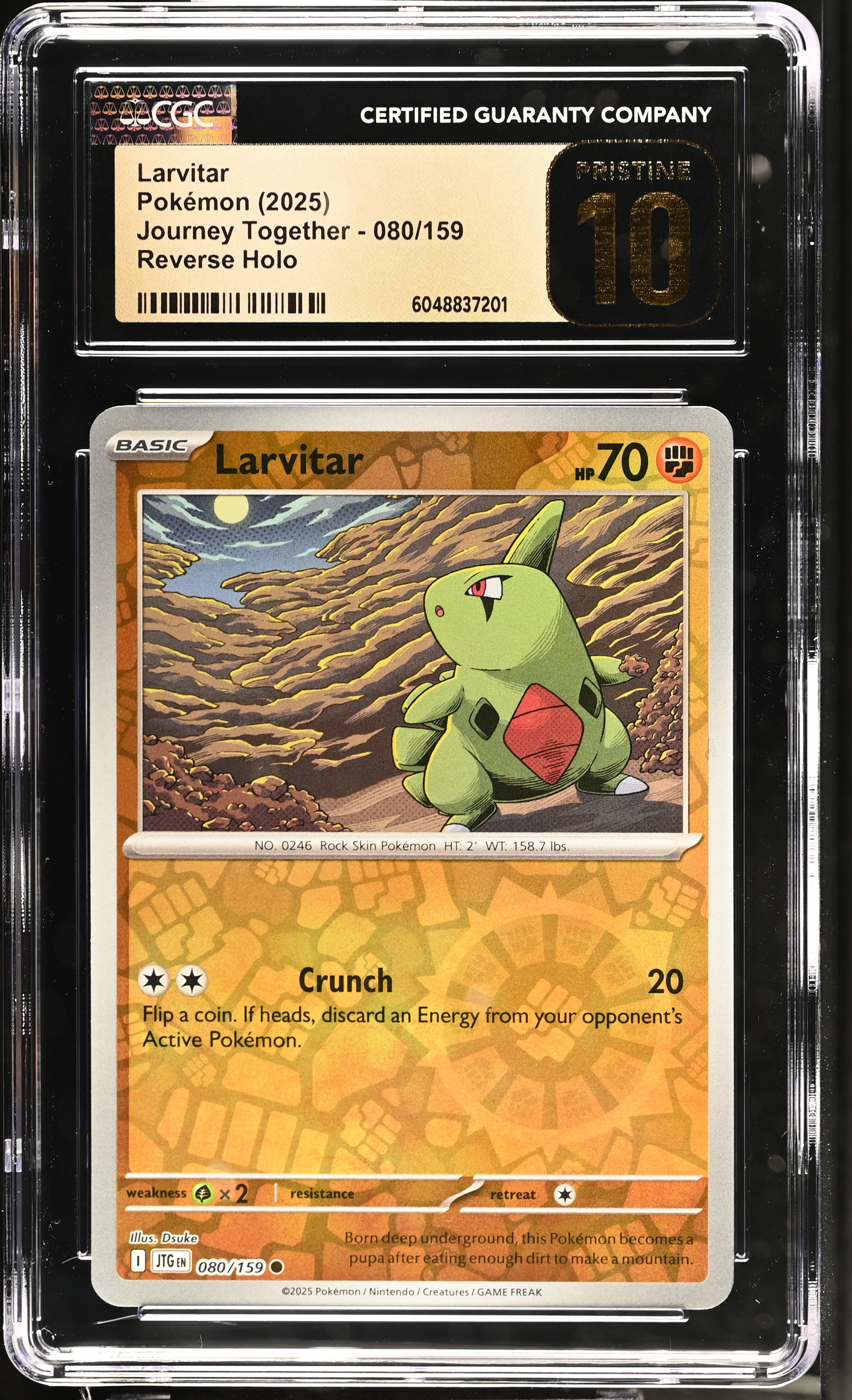Larvitar 2025 Pokemon Journey Together #080/159 (CGC PRISTINE 10 | Black Label) at PristineAuction.com Larvitar 2025 Pokemon Journey Together #080/159 (CGC PRISTINE 10 | Black Label) at PristineAuction.com