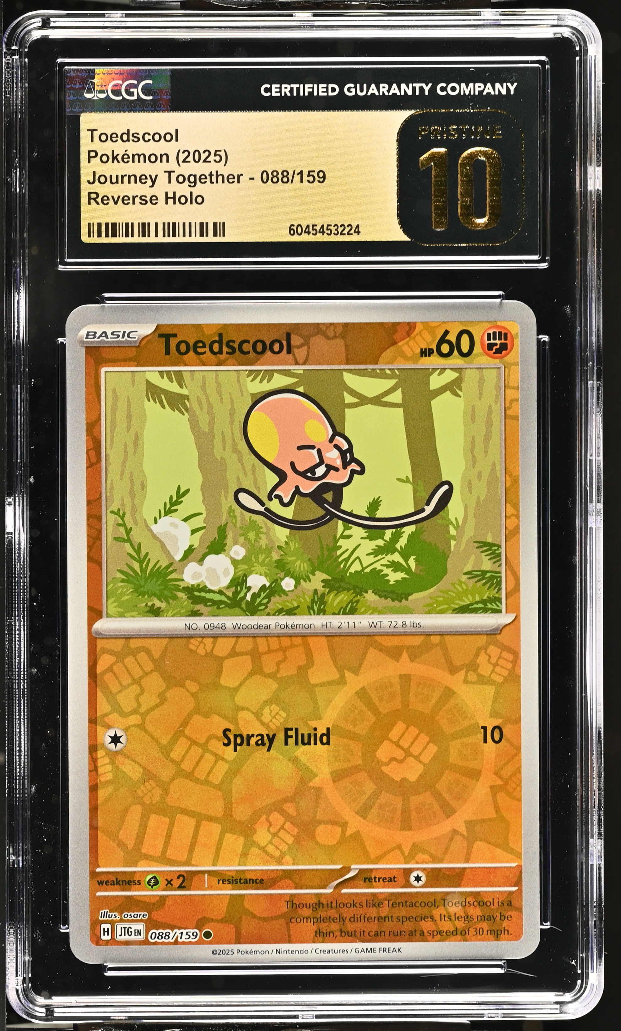 Toedscool 2025 Pokemon Journey Together #088/159 (CGC PRISTINE 10 | Black Label) at PristineAuction.com Toedscool 2025 Pokemon Journey Together #088/159 (CGC PRISTINE 10 | Black Label) at PristineAuction.com