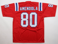 Danny Amendola Signed Jersey (JSA) at PristineAuction.com