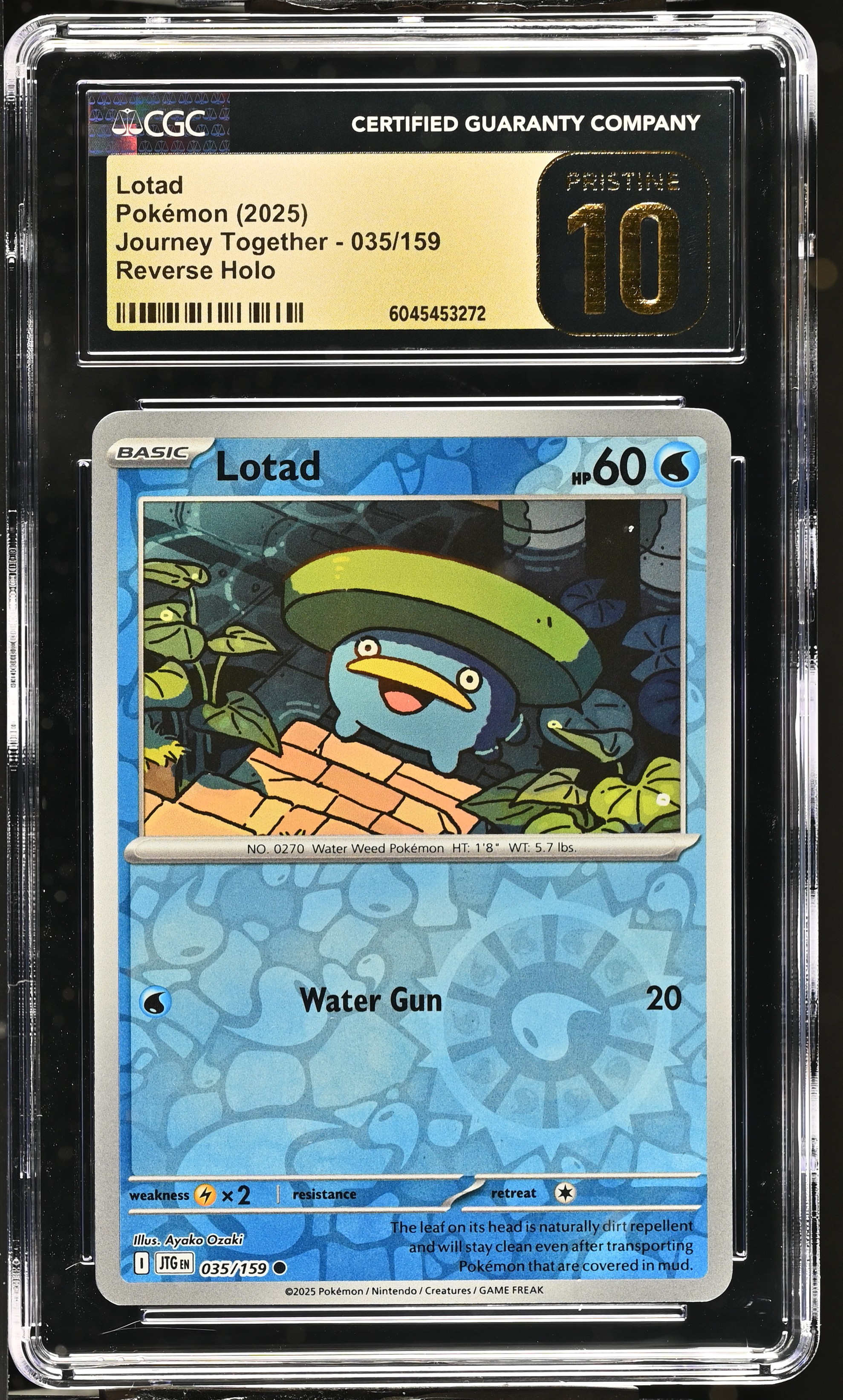 Lotad 2025 Pokemon Journey Together #035/159 (CGC PRISTINE 10 | Black Label) at PristineAuction.com Lotad 2025 Pokemon Journey Together #035/159 (CGC PRISTINE 10 | Black Label) at PristineAuction.com