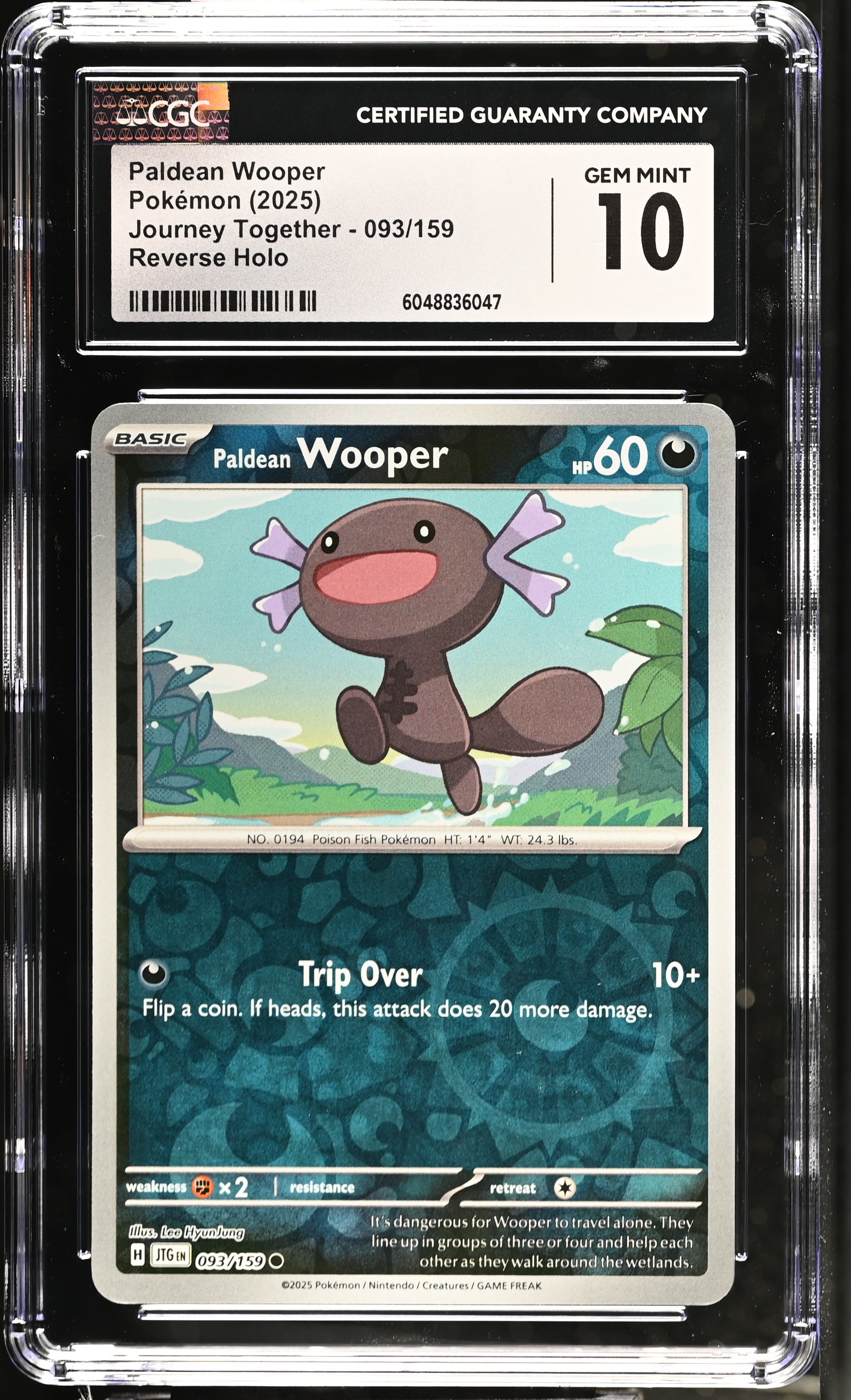 Paldean Wooper 2025 Pokemon Journey Together #093/159 (CGC 10) at PristineAuction.com Paldean Wooper 2025 Pokemon Journey Together #093/159 (CGC 10) at PristineAuction.com