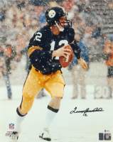 Terry Bradshaw Signed Steelers 16x20 Photo (Beckett) at PristineAuction.com