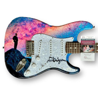 Neil deGrasse Tyson Signed Custom Stratocaster Style Guitar (JSA) at PristineAuction.com