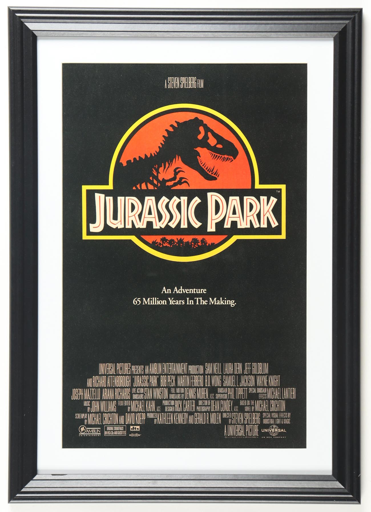 1993 "Jurassic Park" Custom Framed Print at PristineAuction.com 1993 "Jurassic Park" Custom Framed Print at PristineAuction.com