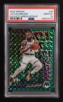 Jaylen Brown 2022-23 Panini Mosaic Elevate Mosaic Green #25 (PSA 10) at PristineAuction.com