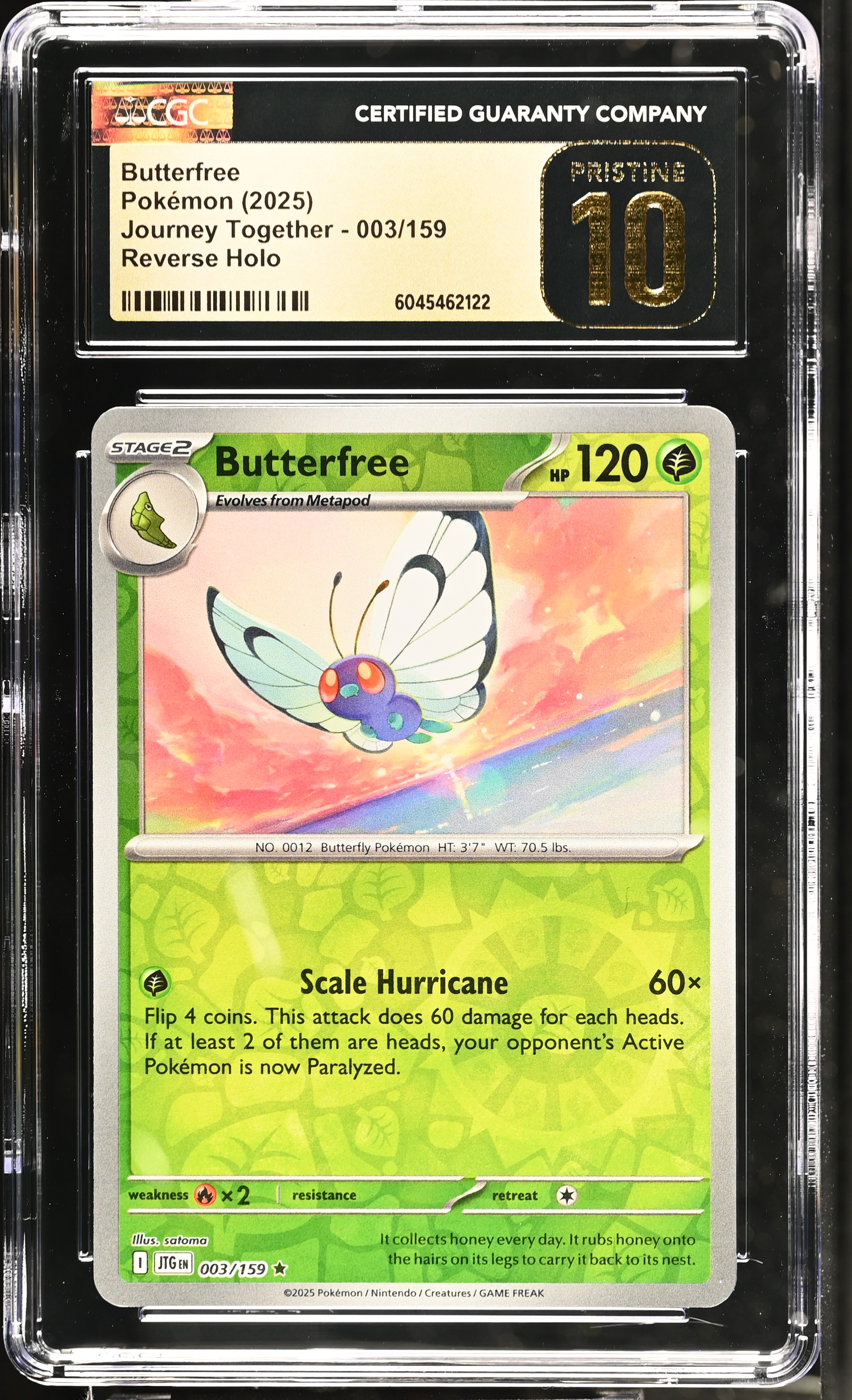 Butterfree 2025 Pokemon Journey Together #003/159 (CGC PRISTINE 10 | Black Label) at PristineAuction.com Butterfree 2025 Pokemon Journey Together #003/159 (CGC PRISTINE 10 | Black Label) at PristineAuction.com