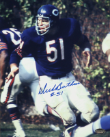 Dick Butkus Signed Bears 8x10 Photo (Schwartz) at PristineAuction.com