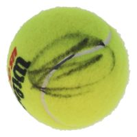 Novak Djokovic Signed Tennis Ball (JSA) at PristineAuction.com