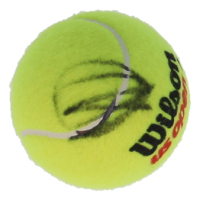 Novak Djokovic Signed Tennis Ball (JSA) at PristineAuction.com