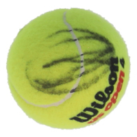 Novak Djokovic Signed Tennis Ball (JSA) at PristineAuction.com