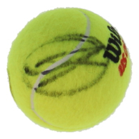 Novak Djokovic Signed Tennis Ball (JSA) at PristineAuction.com