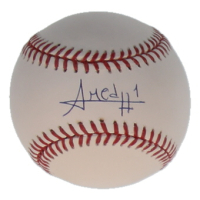 Amed Rosario Signed OML Baseball (Onyx) at PristineAuction.com