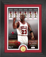 Michael Jordan LE Bulls Custom Framed Photo with Highland Mint Coin at PristineAuction.com
