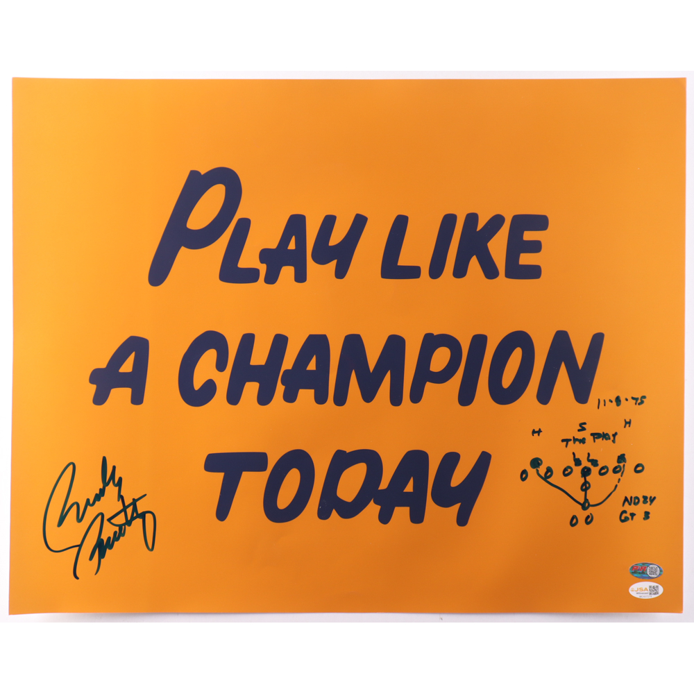 Rudy Ruettiger Signed Notre Dame Fighting Irish 16x20 Photo Inscribed "11-8-75" & "The Play" with Hand-Sketched Play Diagram (JSA) at PristineAuction.com