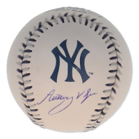 Anthony Volpe Signed OML Yankees Logo Baseball (Fanatics & MLB) at PristineAuction.com