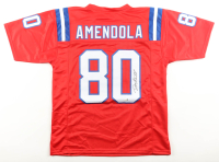 Danny Amendola Signed Jersey (JSA) at PristineAuction.com