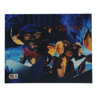 Joe Dante Signed "Gremlins" 8x10 Photo (Beckett) at PristineAuction.com