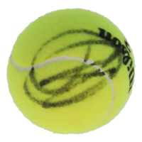 Novak Djokovic Signed Tennis Ball (PSA) at PristineAuction.com