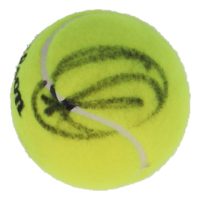 Novak Djokovic Signed Tennis Ball (PSA) at PristineAuction.com
