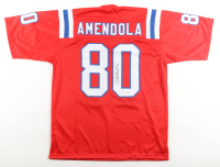 Danny Amendola Signed Jersey (JSA) at PristineAuction.com