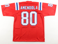 Danny Amendola Signed Jersey (JSA) at PristineAuction.com