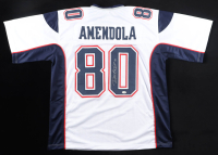 Danny Amendola Signed Jersey (JSA) at PristineAuction.com