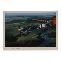 Roland Beamont Signed Stan Stokes "The Exterminator" Lithograph (AIV) at PristineAuction.com