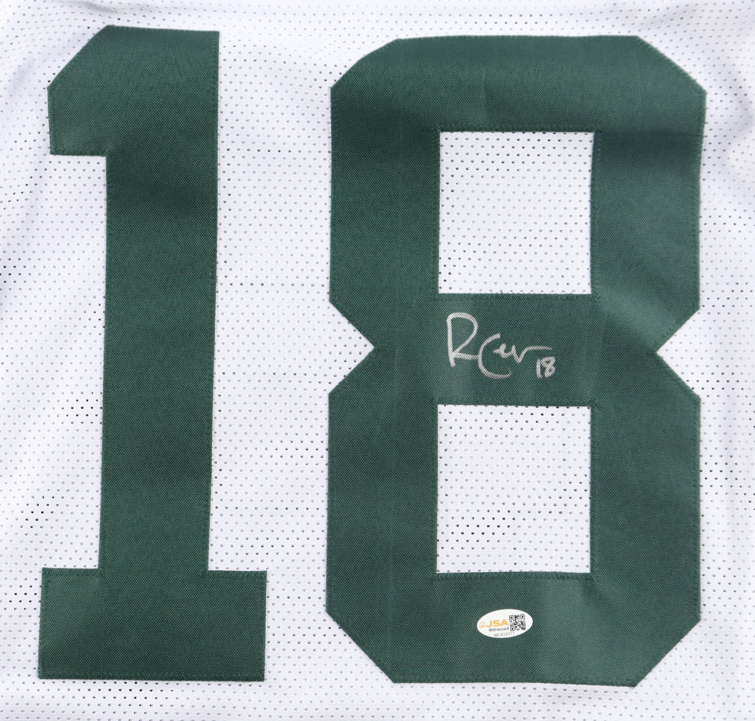 Randall Cobb Signed Jersey (JSA) at PristineAuction.com Randall Cobb Signed Jersey (JSA) at PristineAuction.com