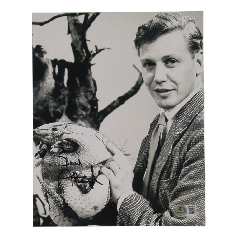 David Attenborough Signed 8x10 Photo (Beckett) at PristineAuction.com David Attenborough Signed 8x10 Photo (Beckett) at PristineAuction.com