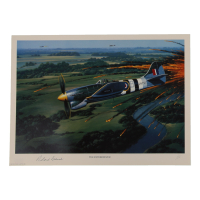 Roland Beamont Signed Stan Stokes "The Exterminator" Lithograph (AIV) at PristineAuction.com