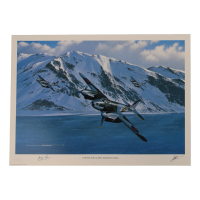 George Parry Signed Stan Stokes "Those Nagging Mosquitoes" Lithograph (AIV) at PristineAuction.com