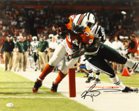 Rickey Williams Signed Dolphins 16x20 Photo (JSA) at PristineAuction.com