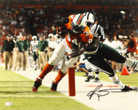 Rickey Williams Signed Dolphins 16x20 Photo (JSA) at PristineAuction.com