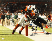 Rickey Williams Signed Dolphins 16x20 Photo (JSA) at PristineAuction.com