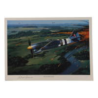 Roland Beamont Signed Stan Stokes "The Exterminator" Lithograph (AIV) at PristineAuction.com