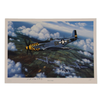 Lt. Col. William Bailey Signed Stan Stokes "Top Cover" Lithograph (AIV) at PristineAuction.com