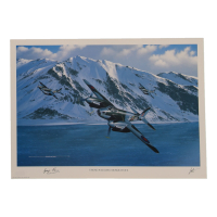 George Parry Signed Stan Stokes "Those Nagging Mosquitoes" Lithograph (AIV) at PristineAuction.com